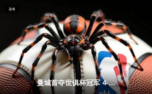 曼城首夺世俱杯冠军 4-0横扫弗鲁米嫩塞成就五冠王 - 2