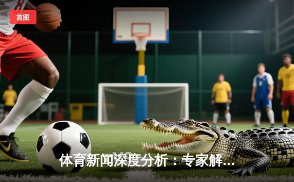体育新闻深度分析：专家解读
